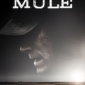 Crime/Drama/Thriller